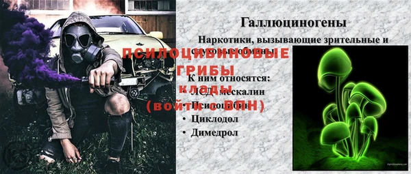 дживик Снежинск