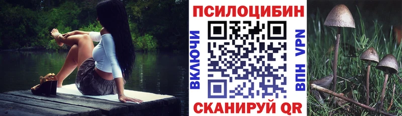 Купить  Светлый  Галлюциногенные грибы Psilocybe 